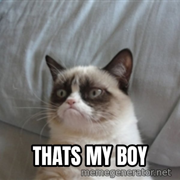 Grumpy cat 5 meme: Thats my BOy