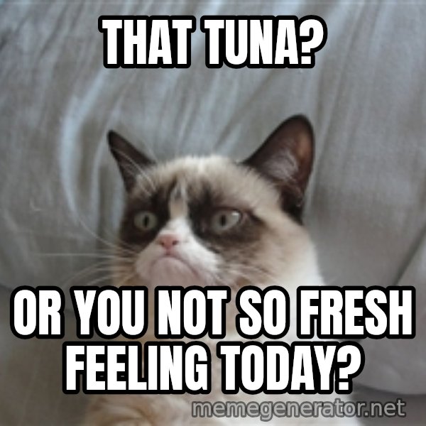 Grumpy cat 5 meme: that tuna? / or you not so fresh feeling today?