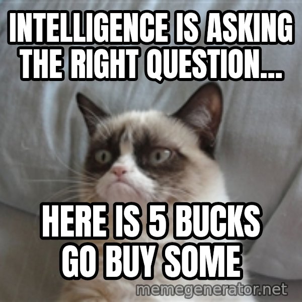 Grumpy cat 5 meme: Intelligence is asking the right question... / Here is 5 bucks go buy some