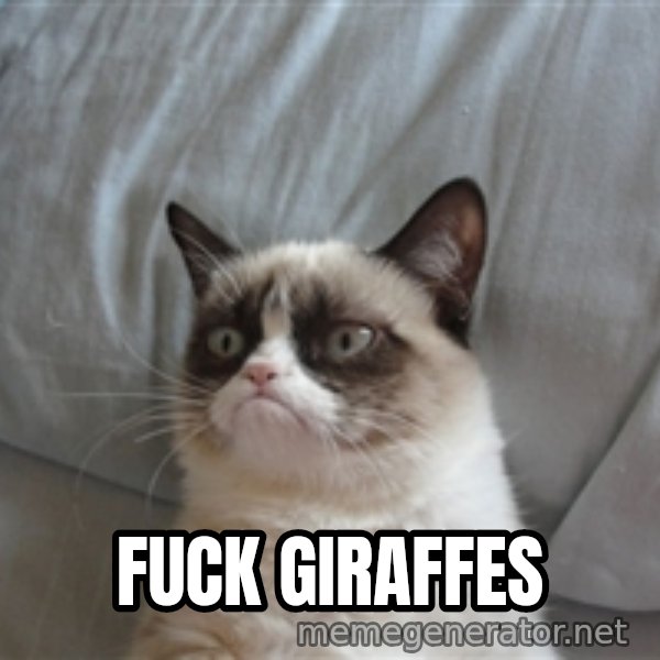 Grumpy cat 5 meme: FUCK GIRAFFES